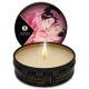 MINI CARESS BY CANDLELIGHT VELAS MASAJE DISPLAY 24 UDS