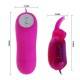 CUTE SECRET CONEJITO VIBRADOR 12V